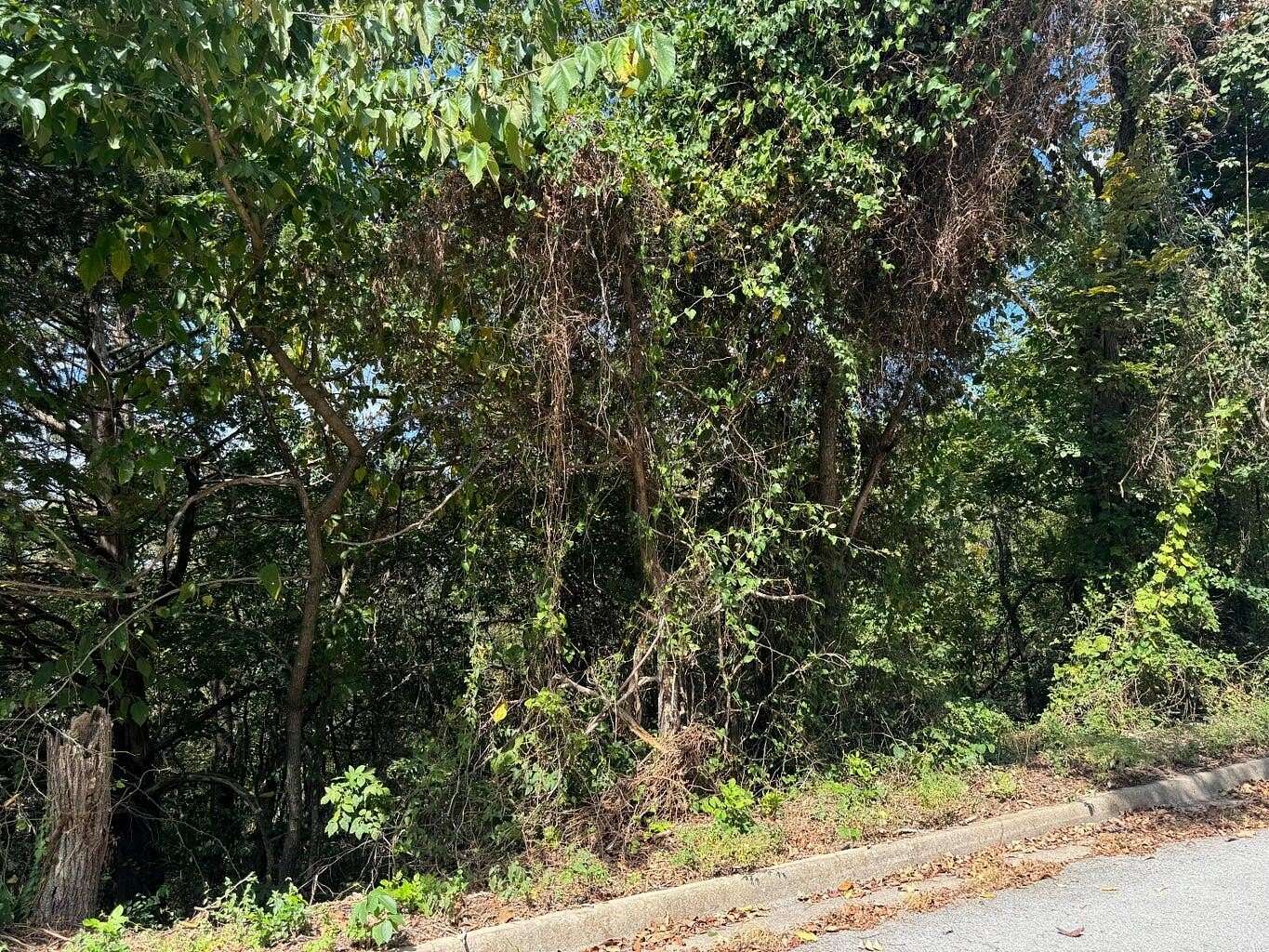 0.28 Acres of Land for Sale in Branson, Missouri