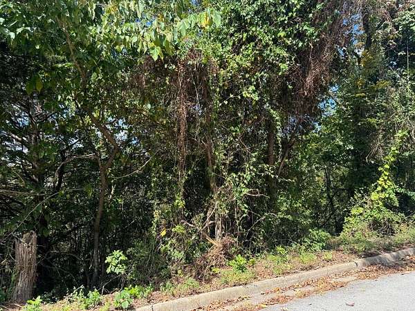 0.28 Acres of Land for Sale in Branson, Missouri