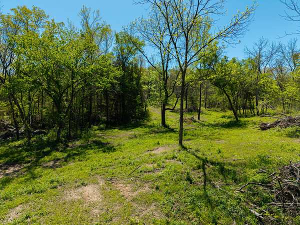 31 Acres of Recreational & Residential Land for Sale in Wasola, Missouri