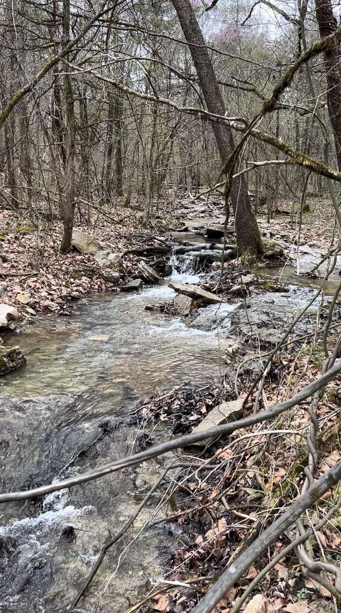 11.8 Acres of Land for Sale in Shell Knob, Missouri