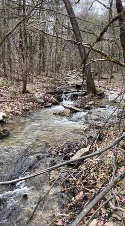 11.8 Acres of Land for Sale in Shell Knob, Missouri