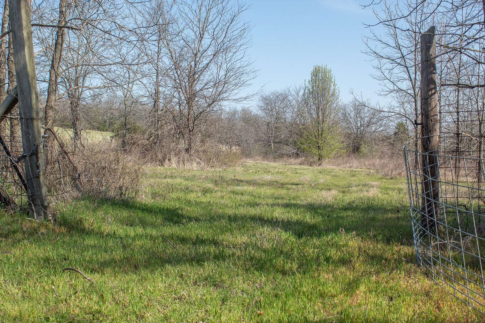 63 Acres of Recreational & Residential Land for Sale in Richland, Missouri