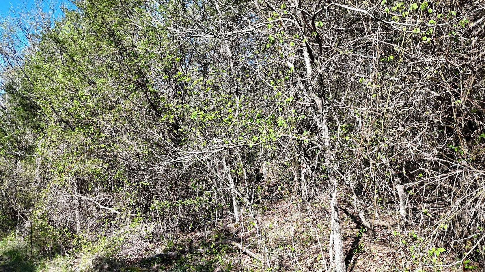 0.06 Acres of Land for Sale in Shell Knob, Missouri