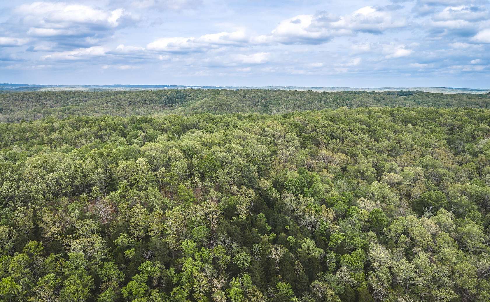 306 Acres of Land for Sale in Newburg, Missouri