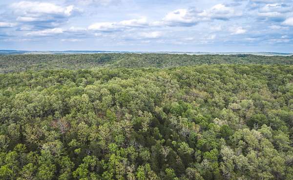 306 Acres of Land for Sale in Newburg, Missouri