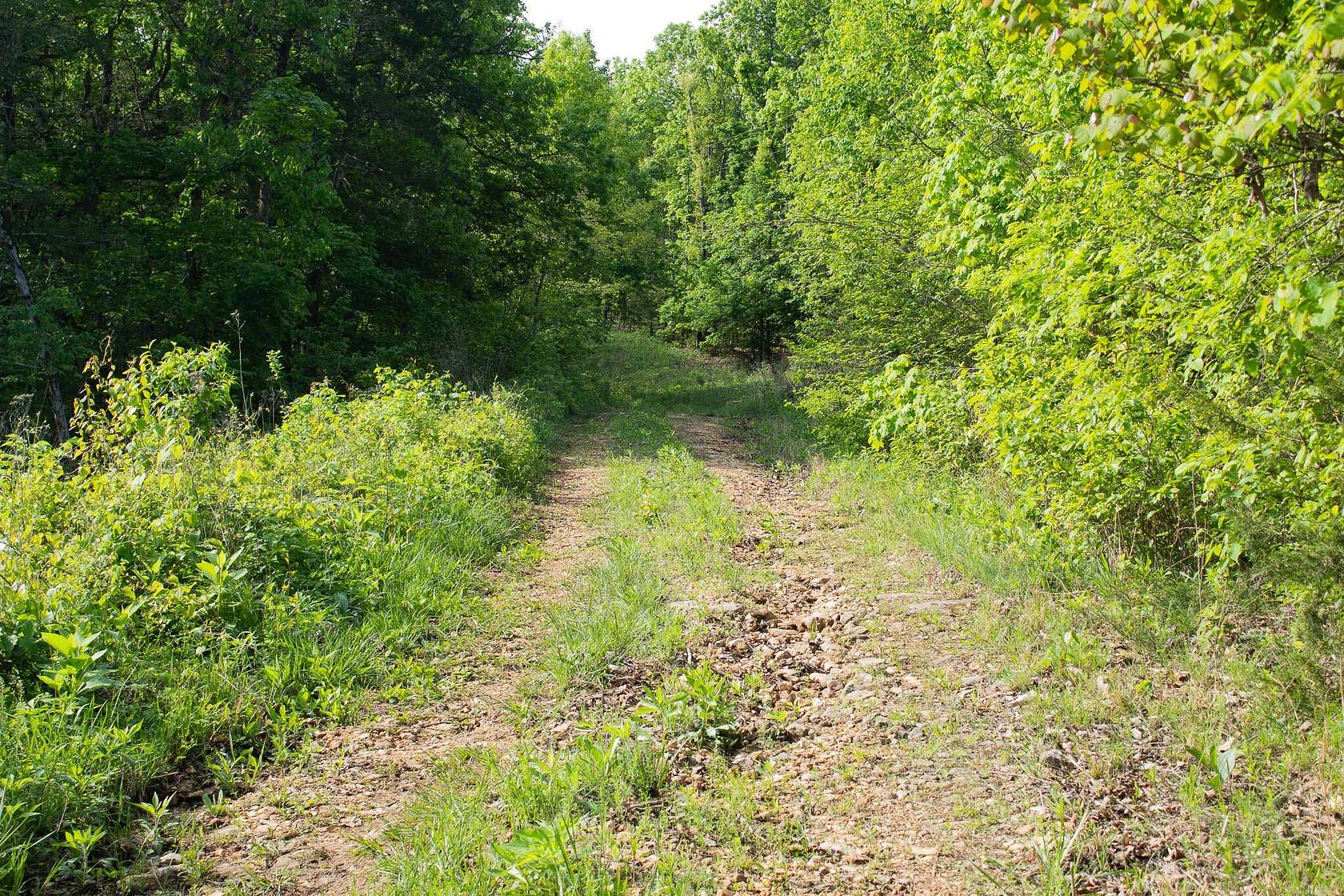 20 Acres of Recreational & Residential Land for Sale in Cape Fair, Missouri