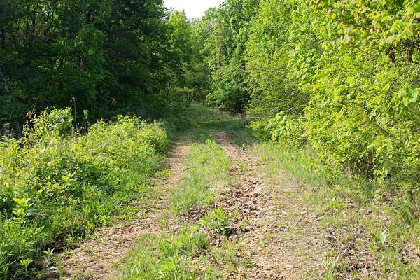 20 Acres of Recreational & Residential Land for Sale in Cape Fair, Missouri