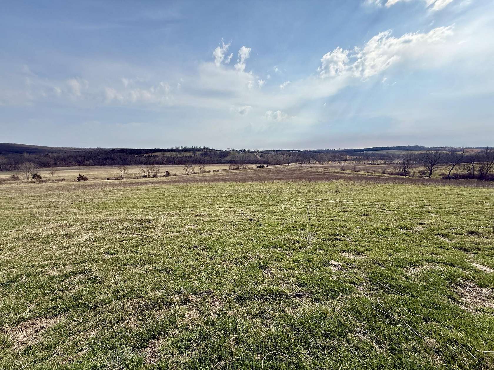 65.7 Acres of Agricultural Land for Sale in Cabool, Missouri