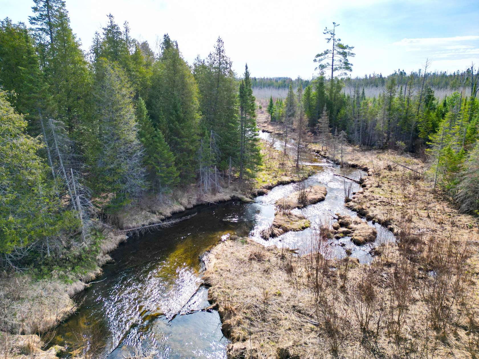 77.6 Acres of Recreational Land for Sale in Gaylord, Michigan