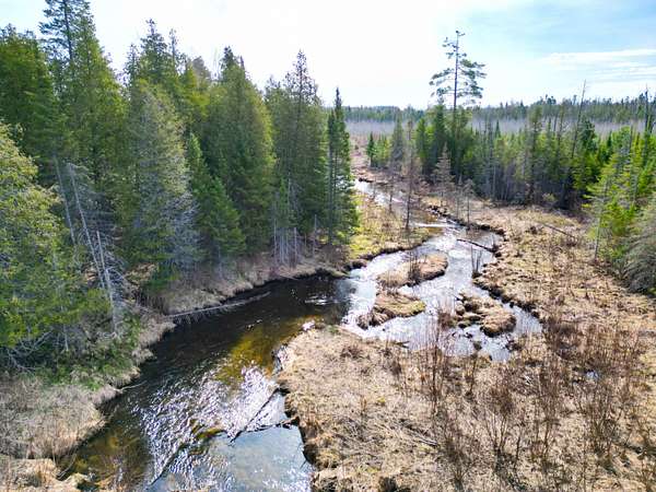 77.6 Acres of Recreational Land for Sale in Gaylord, Michigan