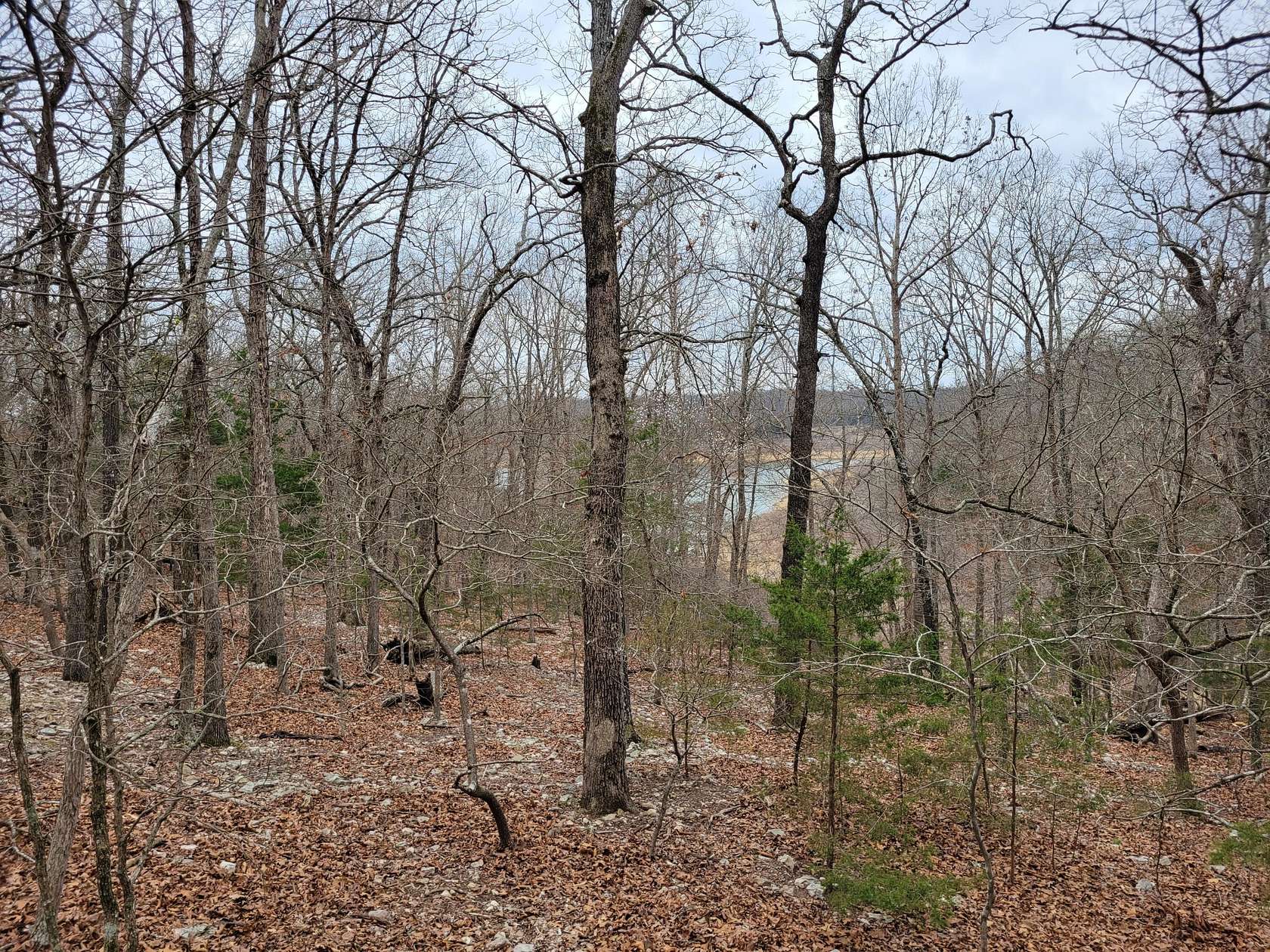 3.67 Acres of Residential Land for Sale in Theodosia, Missouri