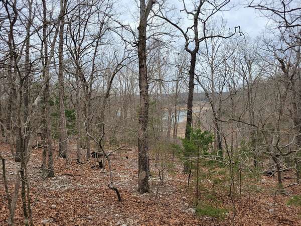 3.67 Acres of Residential Land for Sale in Theodosia, Missouri