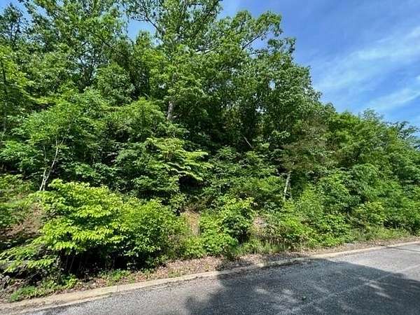 0.25 Acres of Residential Land for Sale in Hollister, Missouri