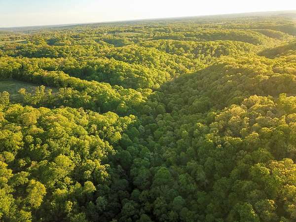 40 Acres of Recreational Land for Sale in Washburn, Missouri