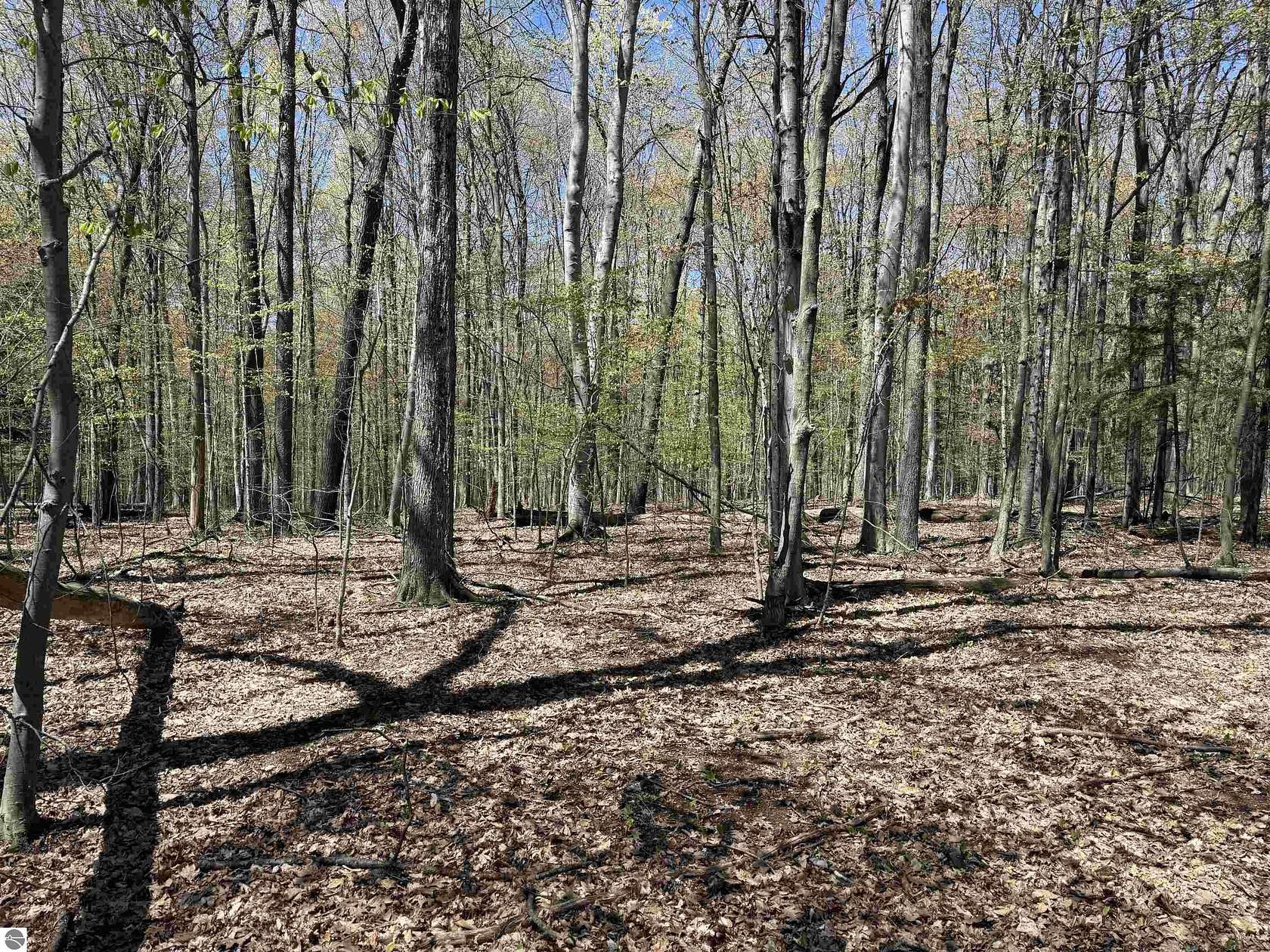 2.46 Acres of Residential Land for Sale in Beulah, Michigan