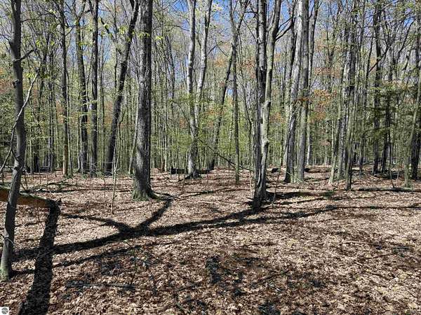 2.46 Acres of Residential Land for Sale in Beulah, Michigan