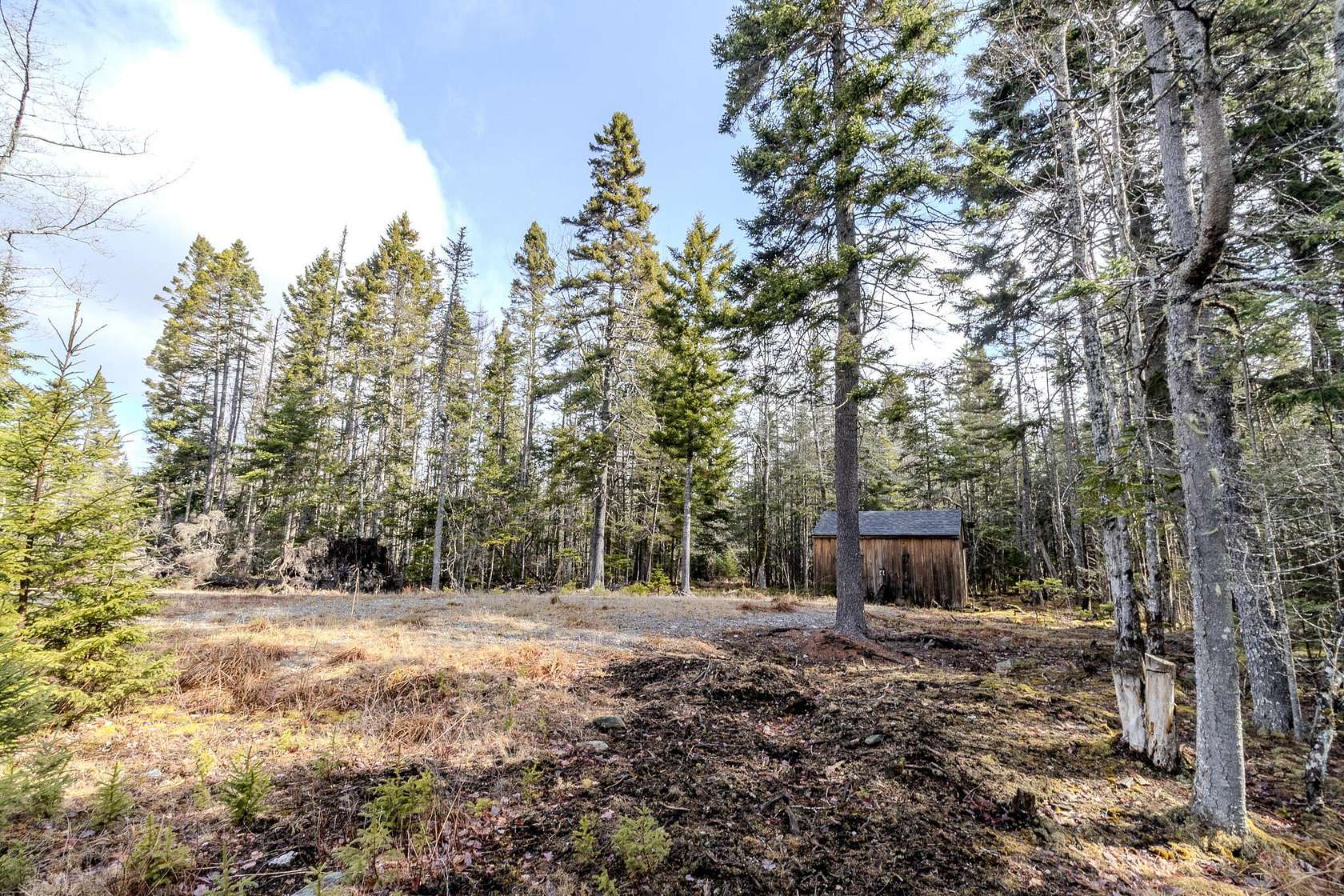 7.65 Acres of Residential Land for Sale in Machiasport, Maine