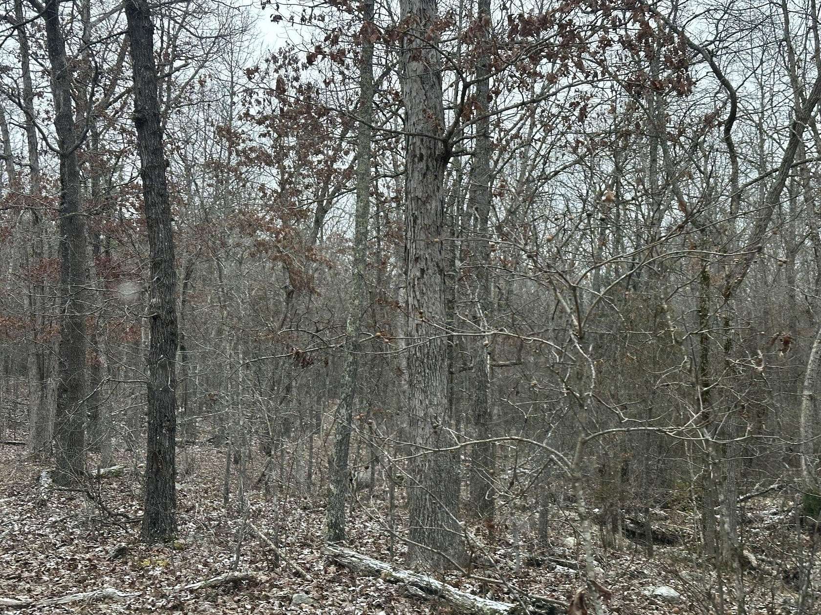 40 Acres of Land with Home for Sale in West Plains, Missouri