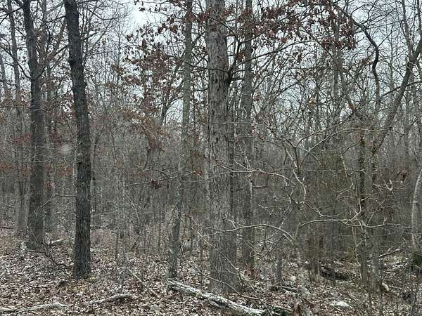 40 Acres of Land with Home for Sale in West Plains, Missouri