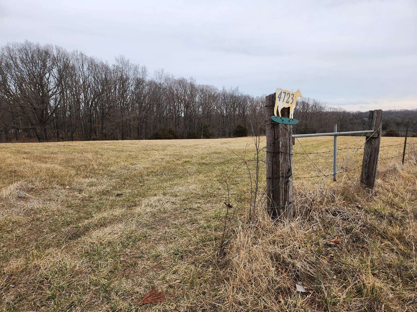 80 Acres of Land for Sale in Seymour, Missouri