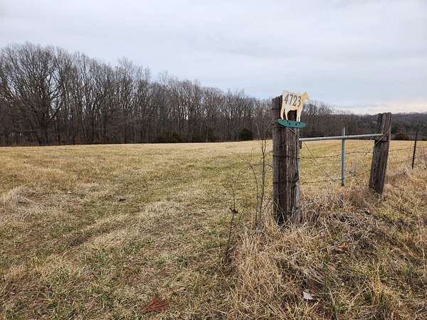 80 Acres of Land for Sale in Seymour, Missouri