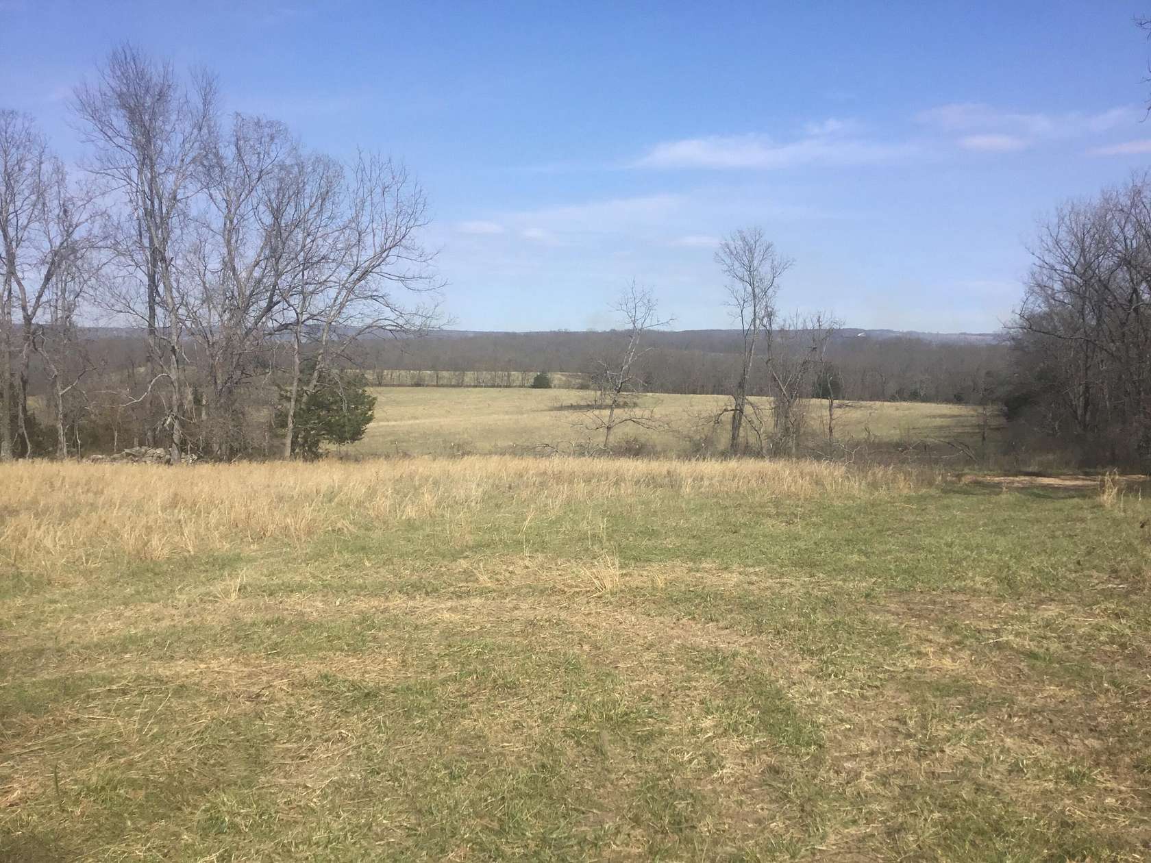60 Acres of Recreational Land for Sale in Hartville, Missouri