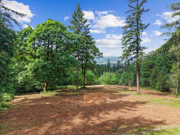 15.6 Acres of Land for Sale in Dundee, Oregon