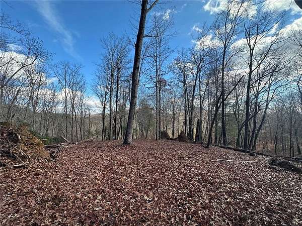 6.24 Acres of Residential Land for Sale in Murrayville, Georgia