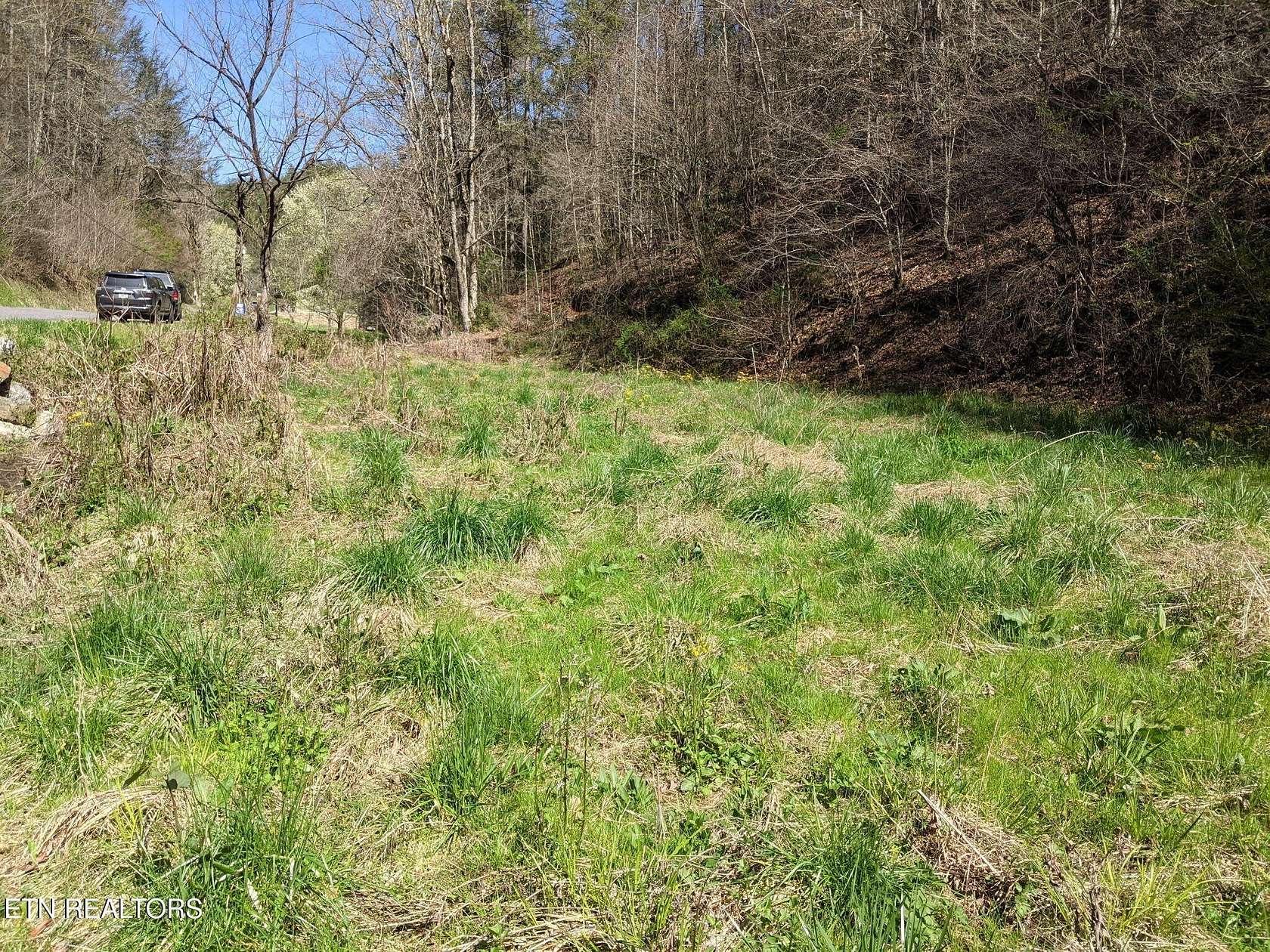 1 Acre of Residential Land for Sale in Del Rio, Tennessee