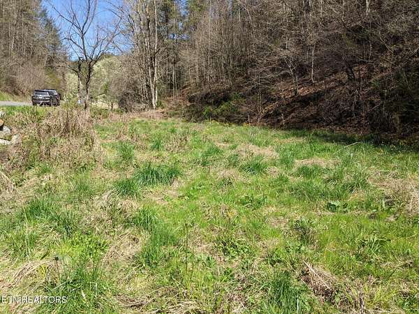 1 Acre of Residential Land for Sale in Del Rio, Tennessee