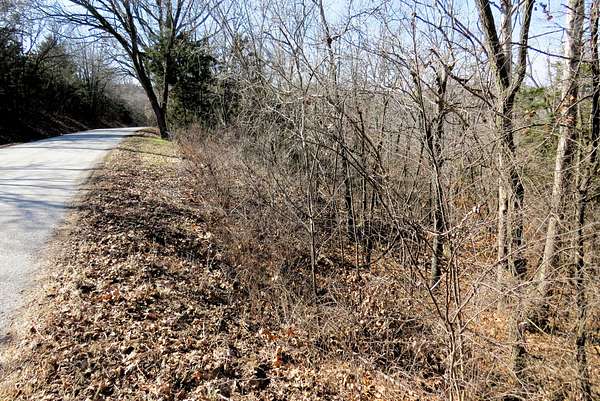 0.51 Acres of Residential Land for Sale in Hollister, Missouri