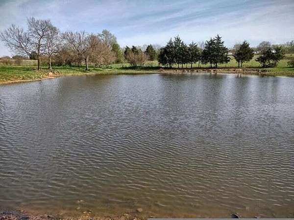 70.5 Acres of Land for Sale in Rogersville, Missouri