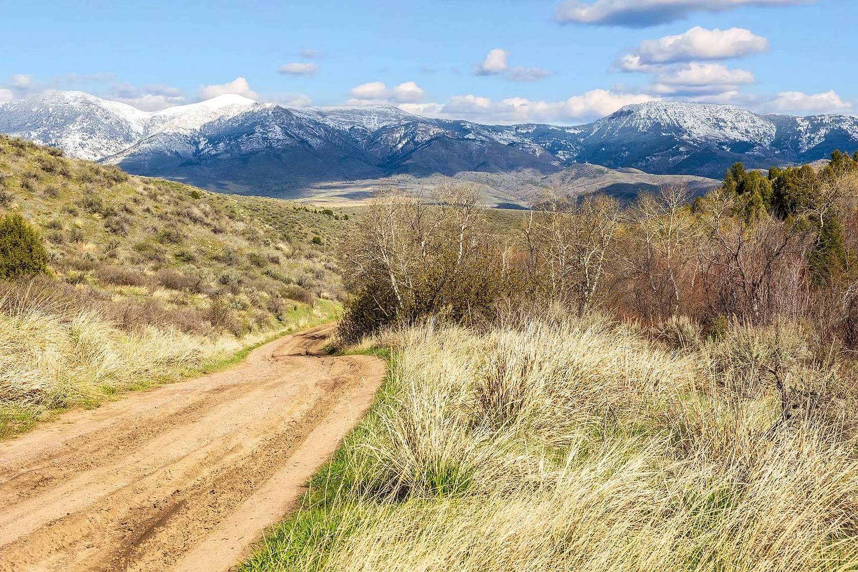 241 Acres of Recreational Land for Sale in McCammon, Idaho