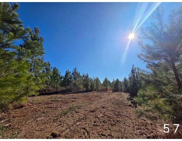 26.2 Acres of Recreational & Residential Land for Sale in Slocomb, Alabama