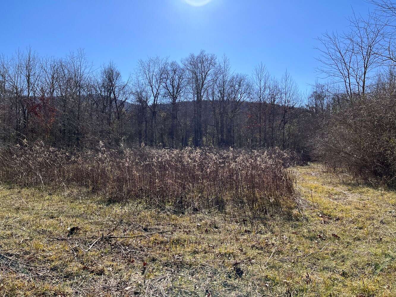 69 Acres of Recreational Land for Sale in Swaim, Alabama