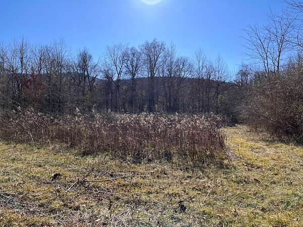 69 Acres of Recreational Land for Sale in Swaim, Alabama