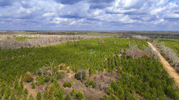 12 Acres of Land for Sale in Slocomb, Alabama