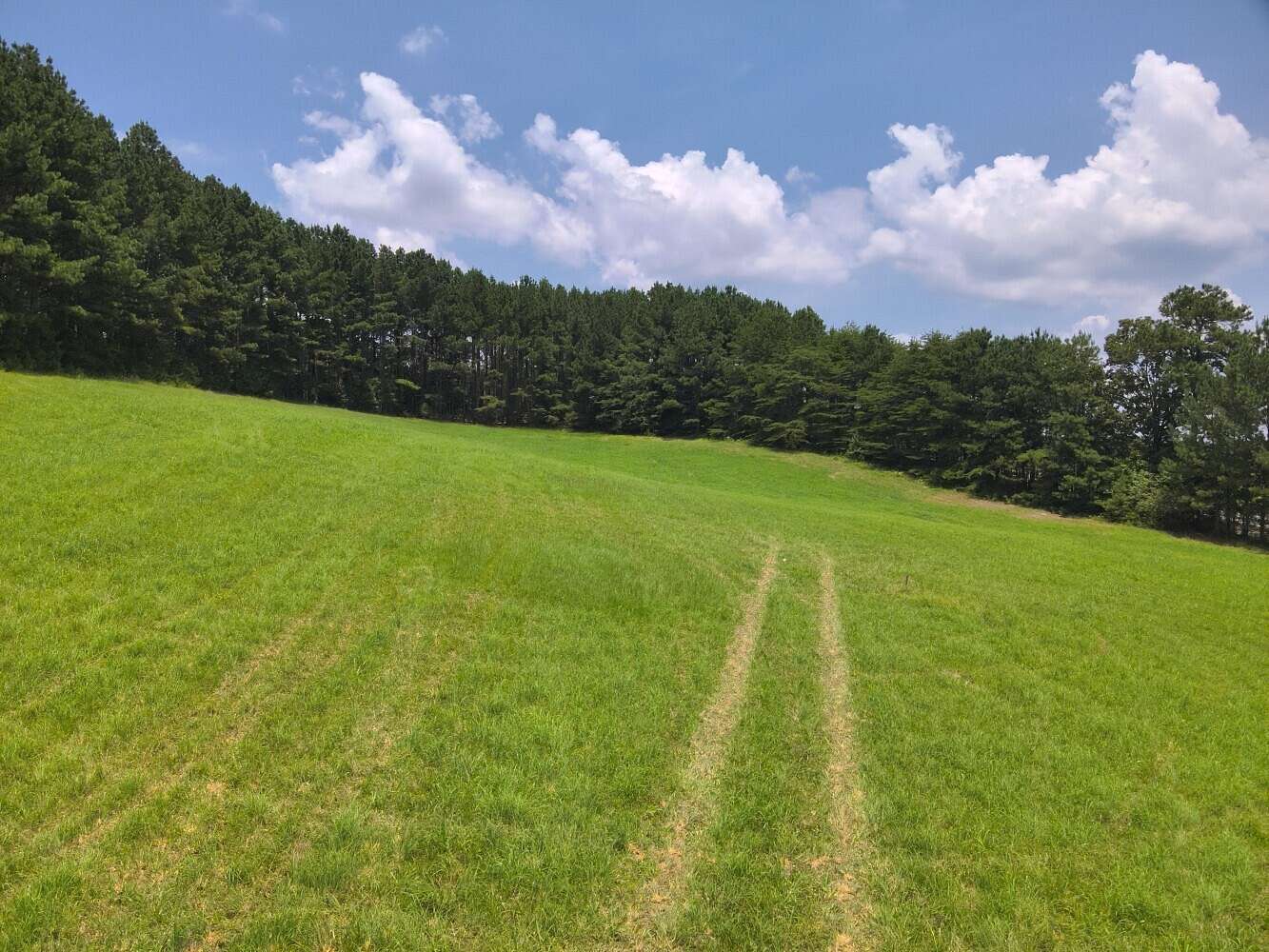 2 Acres of Residential Land for Sale in Crane Hill, Alabama