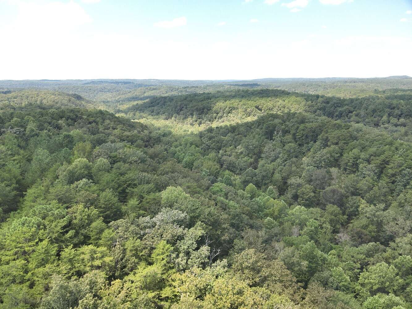 63 Acres of Recreational & Residential Land for Sale in Brookwood, Alabama
