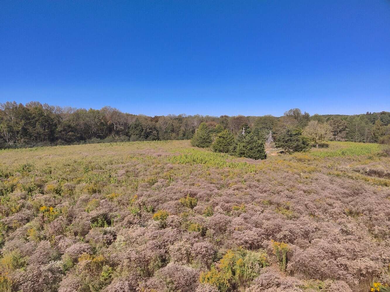 20 Acres of Land for Sale in Eva, Alabama