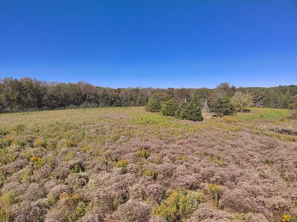 20 Acres of Land for Sale in Eva, Alabama