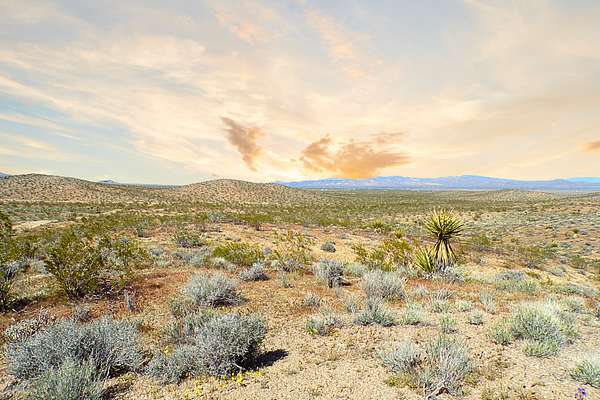 5 Acres of Residential Land for Sale in Dolan Springs, Arizona