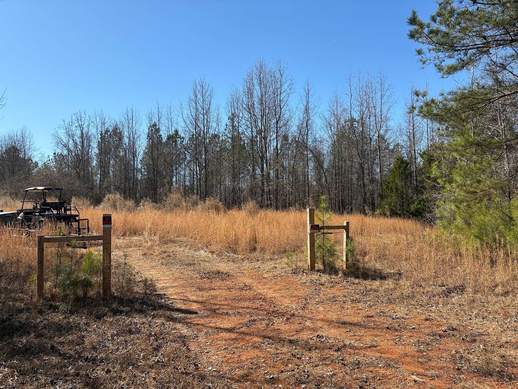 82 Acres of Recreational Land for Sale in Roanoke, Alabama