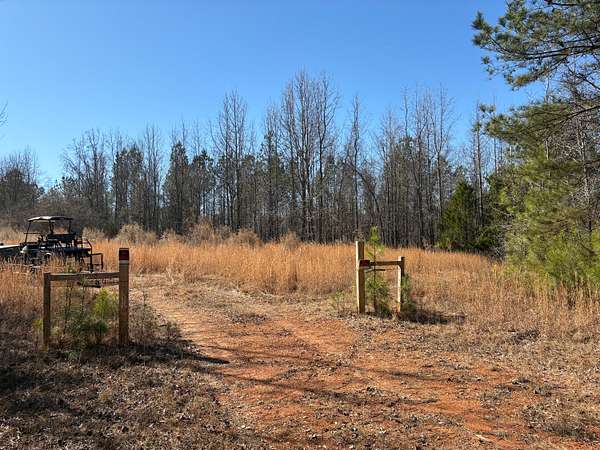 82 Acres of Recreational Land for Sale in Roanoke, Alabama