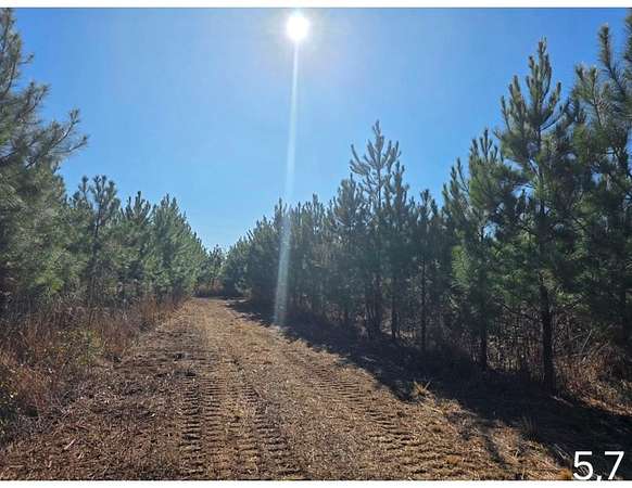 6 Acres of Land for Sale in Slocomb, Alabama