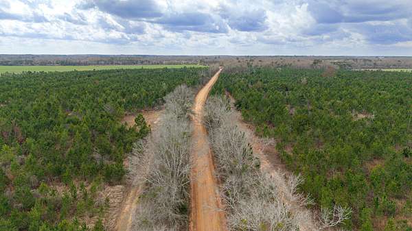 23.8 Acres of Recreational & Residential Land for Sale in Slocomb, Alabama