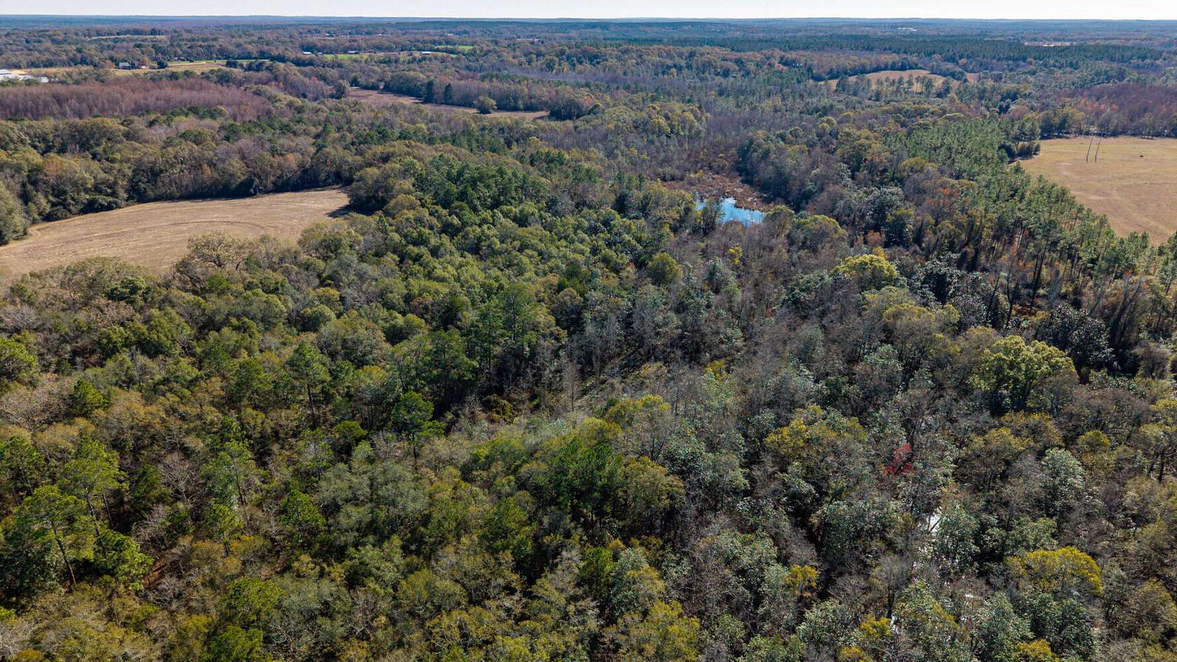 50 Acres of Recreational Land for Sale in Samson, Alabama
