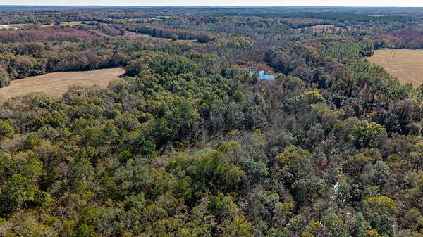 50 Acres of Recreational Land for Sale in Samson, Alabama