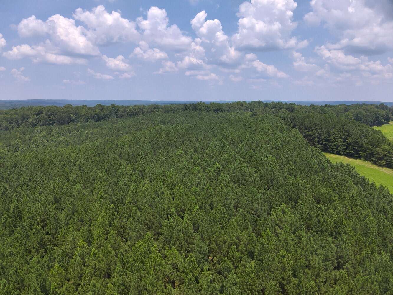 10.5 Acres of Land for Sale in Crane Hill, Alabama