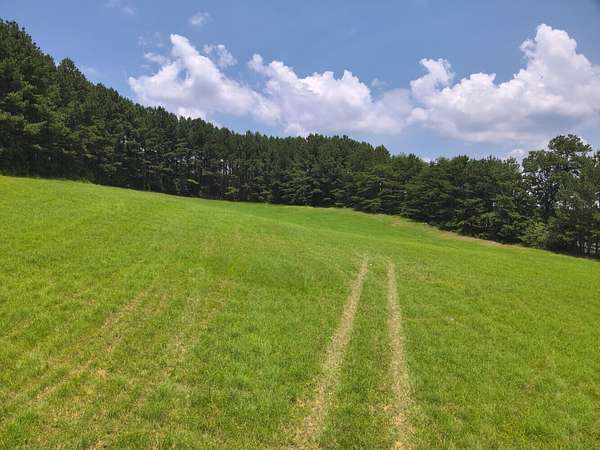 4.5 Acres of Residential Land for Sale in Crane Hill, Alabama